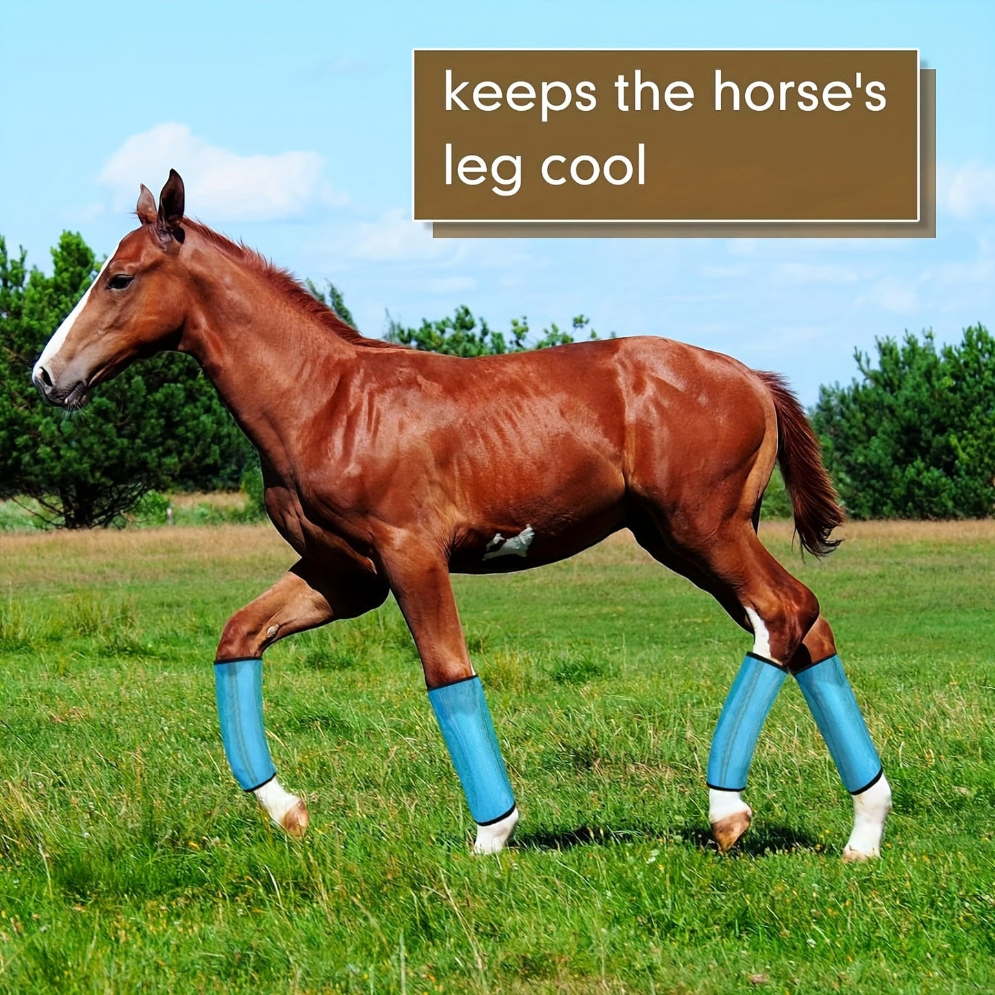 4pcs Adjustable Horse Fly Boots with Masks – Breathable Anti-Slip Leg Protection