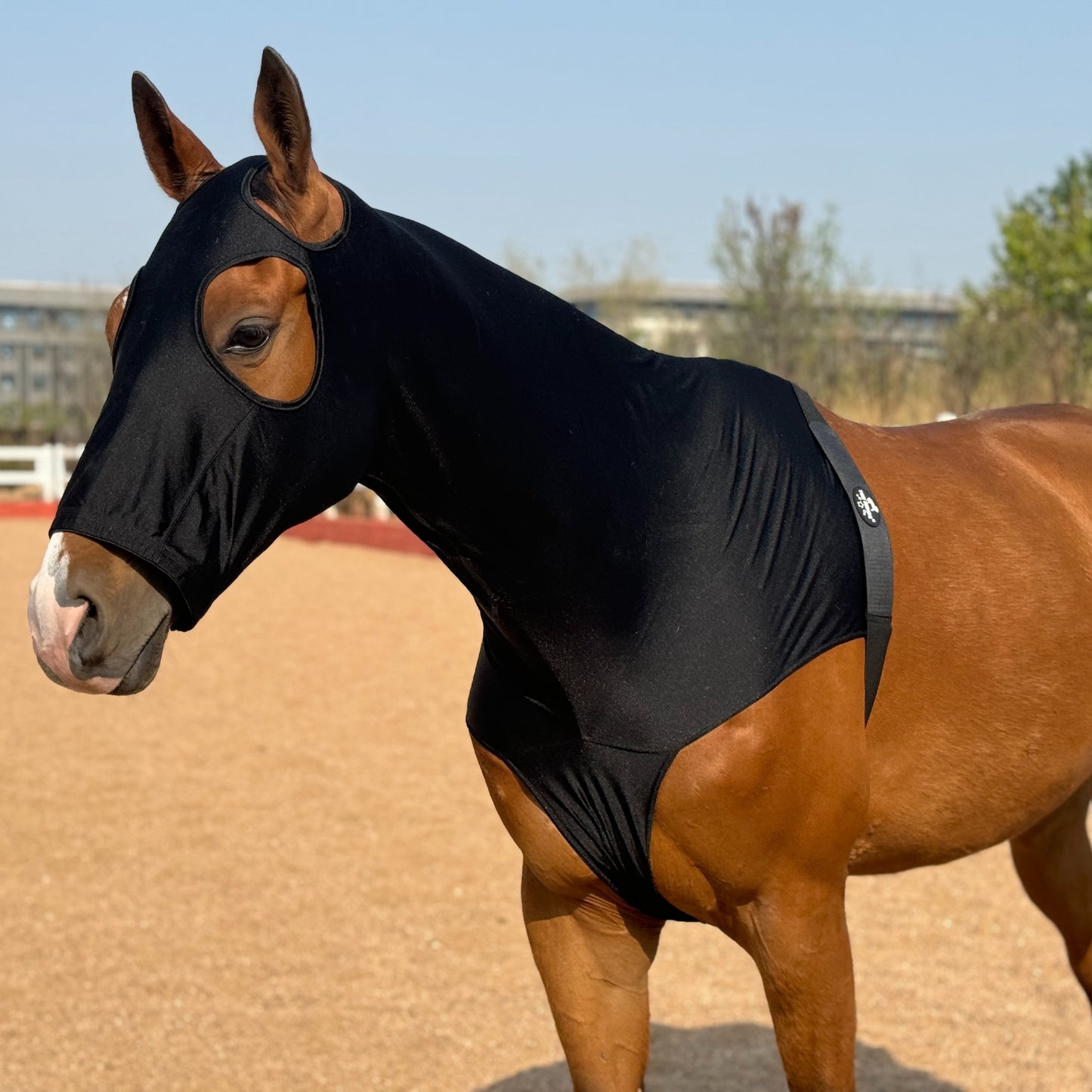 Horse Lycra Hood with Zipper – Mane Braid & Shoulder Guard
