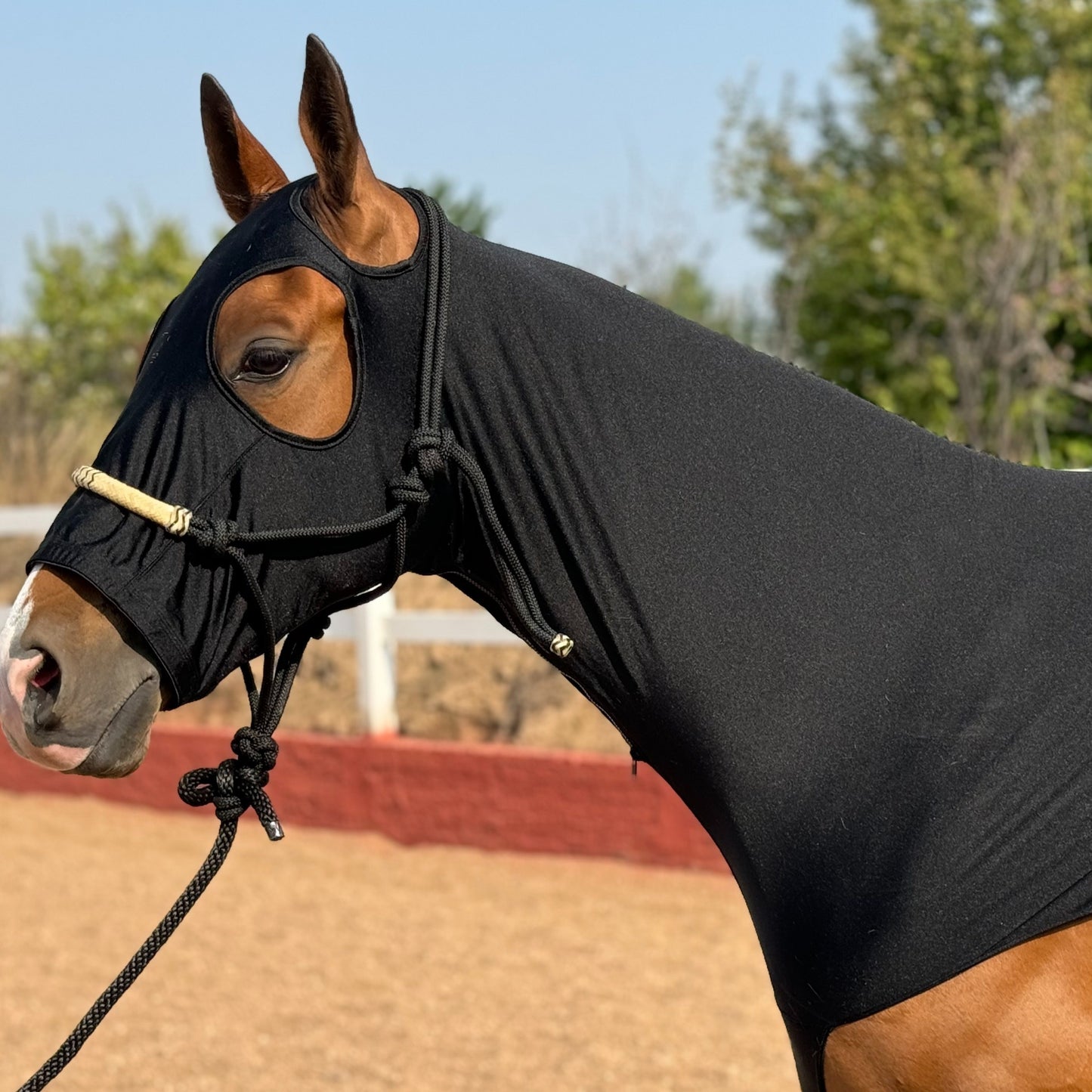 Horse Lycra Hood with Zipper – Mane Braid & Shoulder Guard