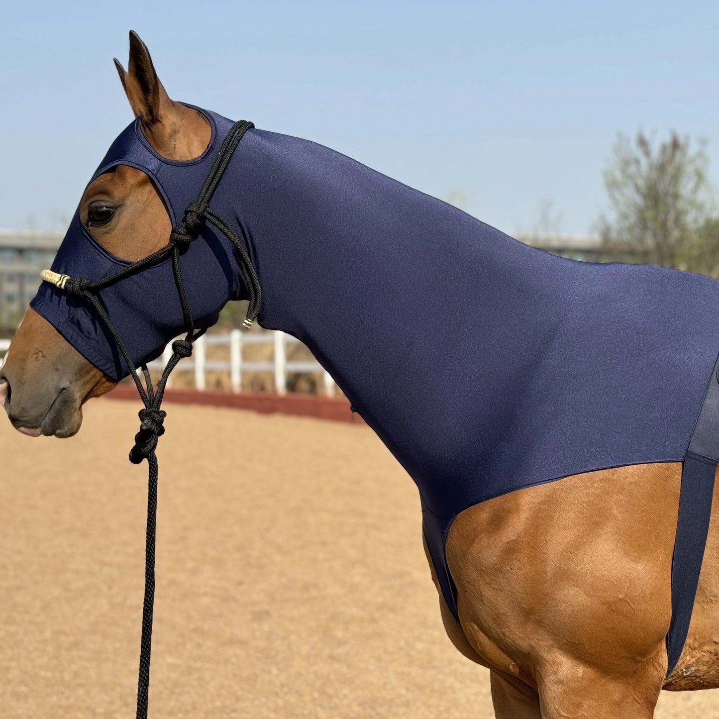 Horse Lycra Hood with Zipper – Mane Braid & Shoulder Guard