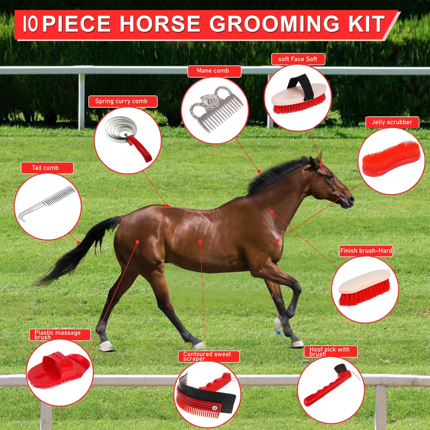 10-Piece Horse Grooming Kit with Carry Bag – Stainless Steel