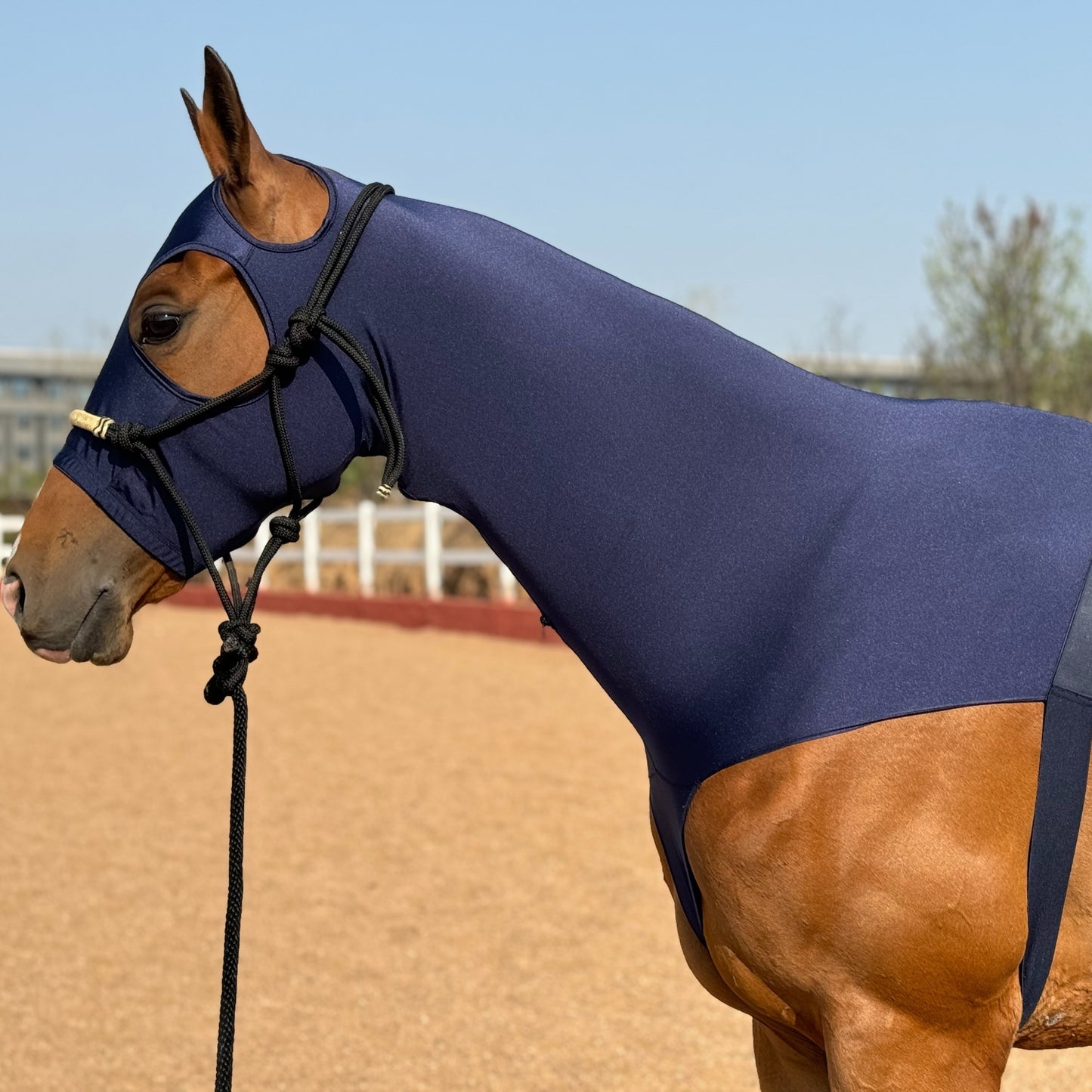 Horse Lycra Hood with Zipper – Mane Braid & Shoulder Guard
